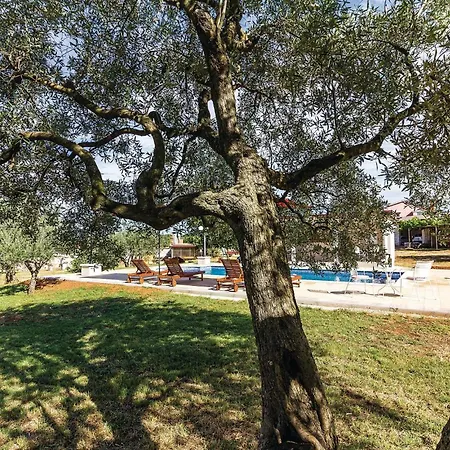 Three-bedroom In Vodnjan * Mednjan